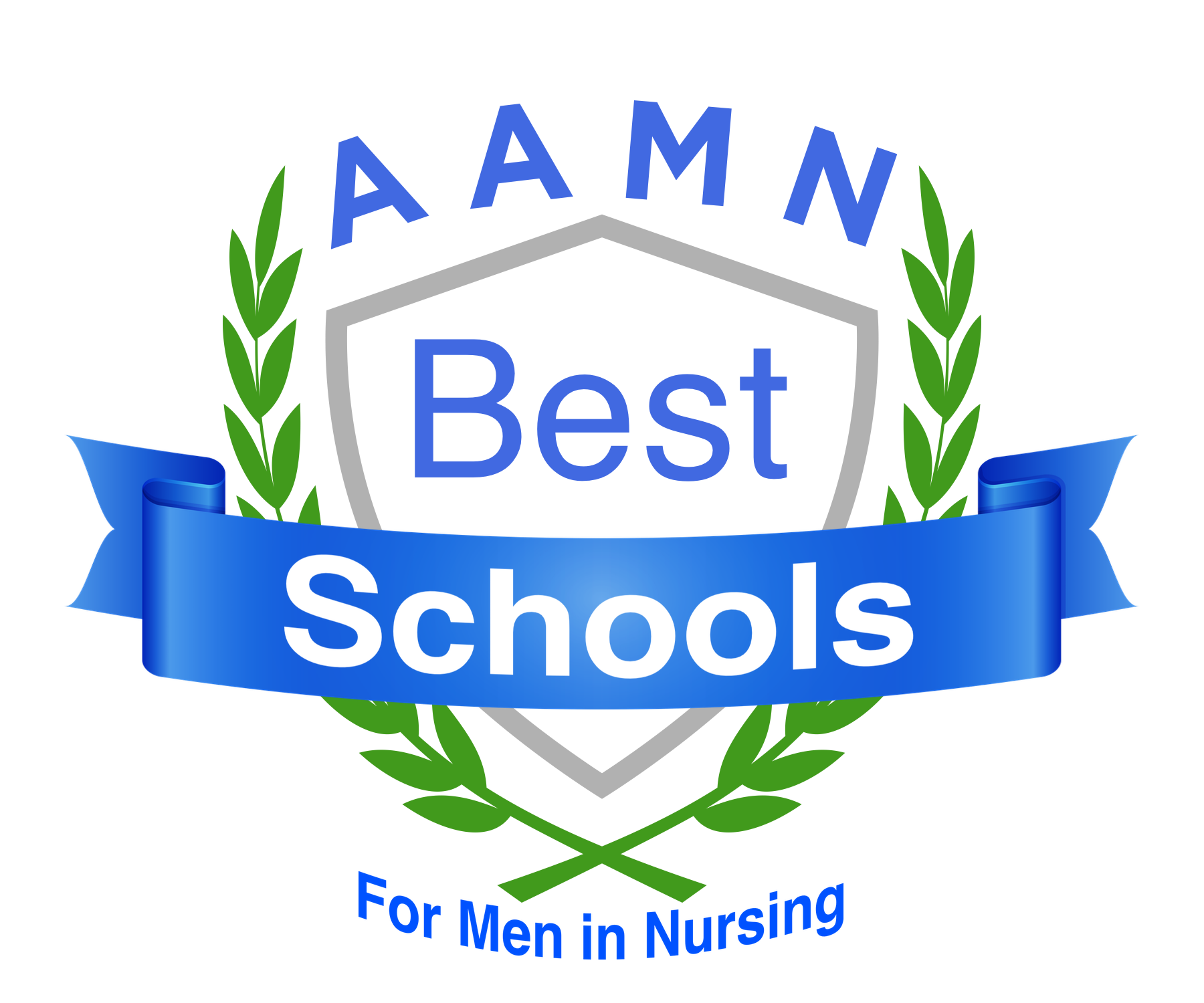 AAMN - American Association for Men in Nursing Best Schools logo